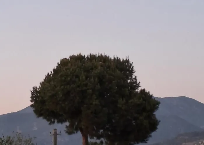 Neridabeachhomes 17 شقة ألانيا